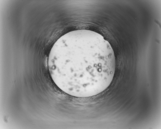 X0000102260041200808151851
