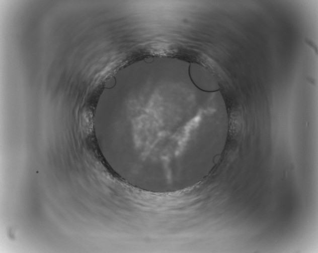X0000102260043200808151851