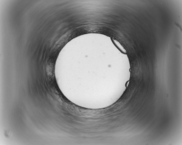 X0000102260044200808151851