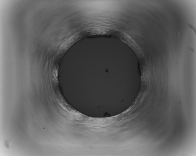 X0000102260045200808151851
