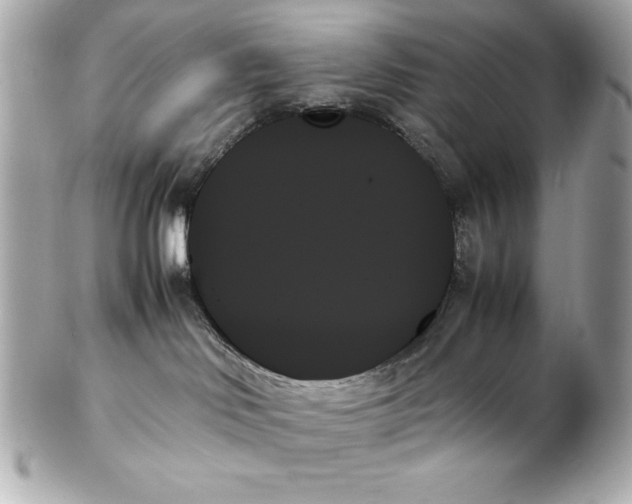 X0000102260046200808151851