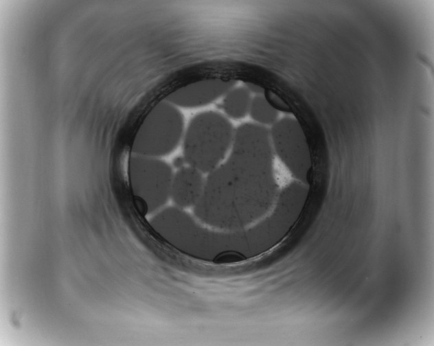 X0000102260047200808151851