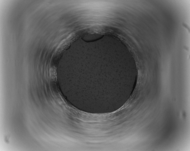 X0000102260048200808151851