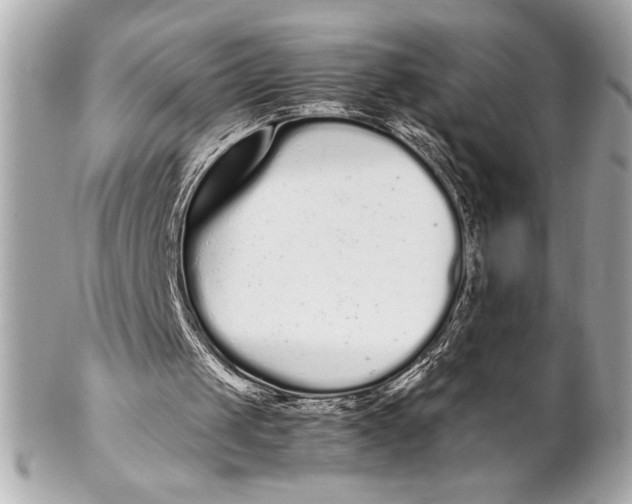 X0000102260049200808151850