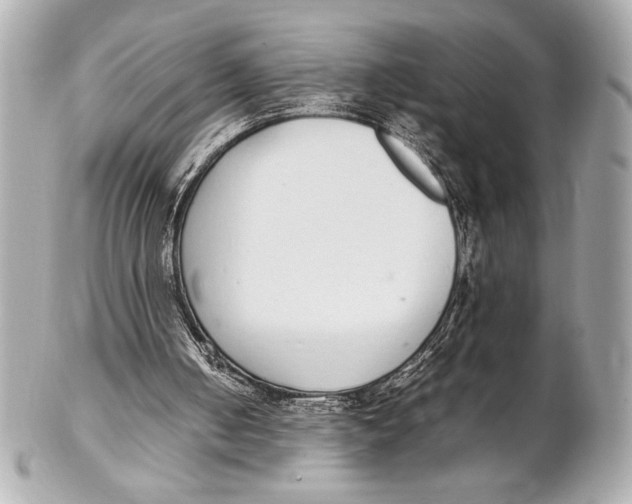 X0000102260050200808151850