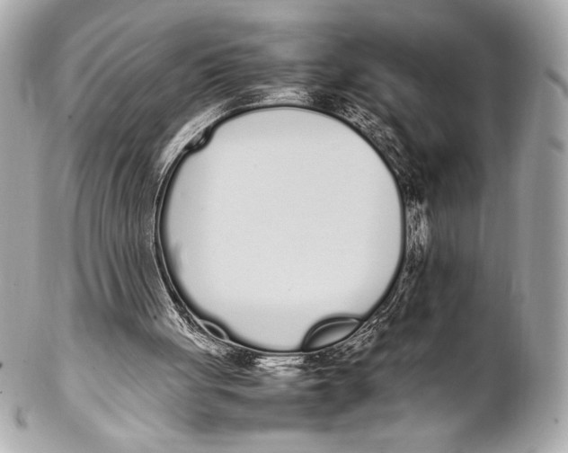 X0000102260051200808151850