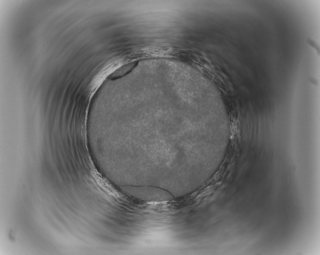 X0000102260052200808151850