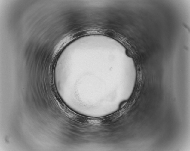X0000102260053200808151850