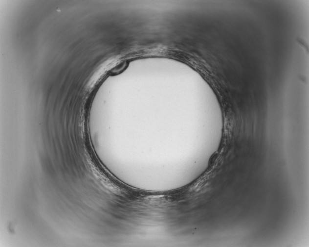 X0000102260054200808151850