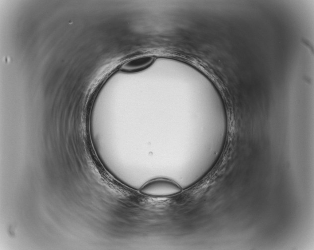 X0000102260055200808151850
