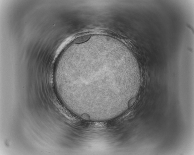 X0000102260056200808151850