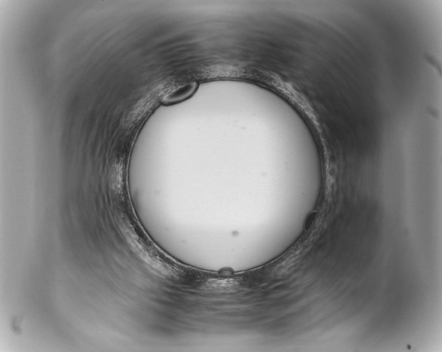 X0000102260057200808151850