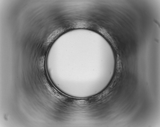 X0000102260058200808151850