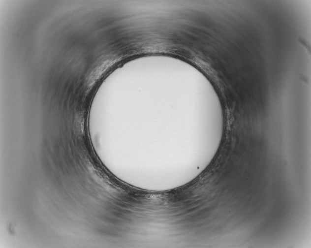 X0000102260060200808151850