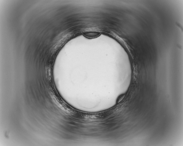 X0000102260061200808151850