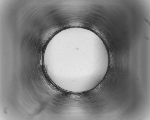 X0000102260062200808151850