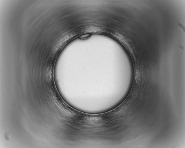 X0000102260063200808151850