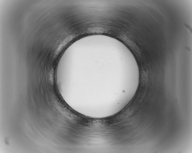 X0000102260064200808151850