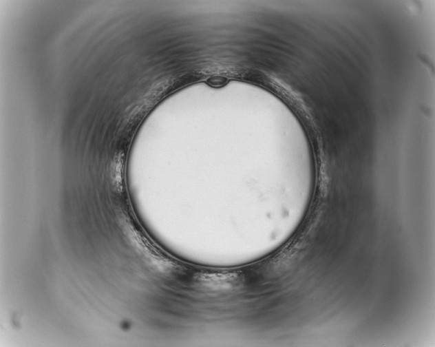 X0000102260065200808151850