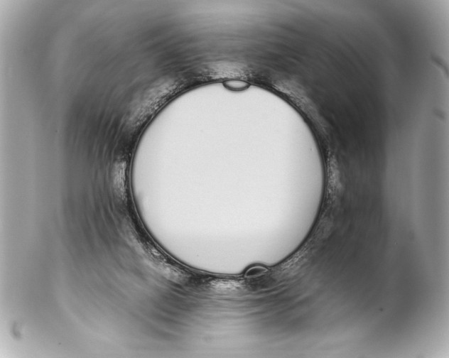 X0000102260066200808151850