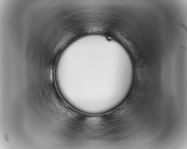 X0000102260067200808151850