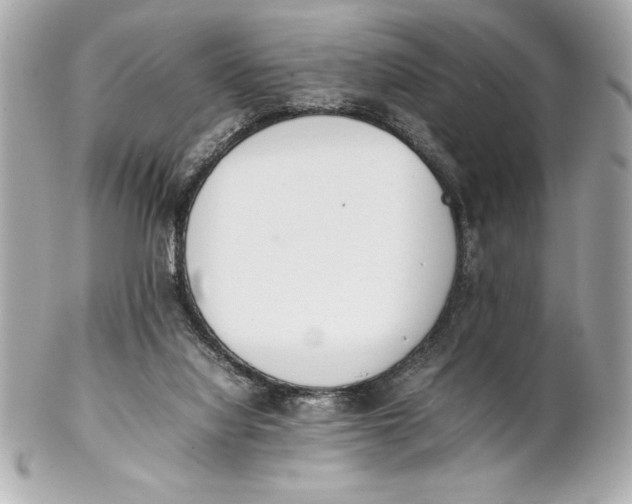 X0000102260068200808151850