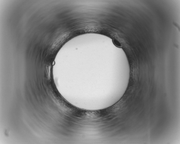 X0000102260070200808151850