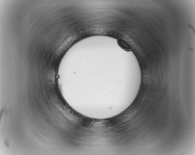 X0000102260072200808151850