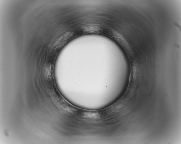 X0000102260073200808151850