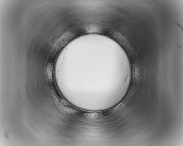 X0000102260074200808151850