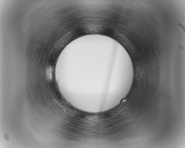 X0000102260075200808151850