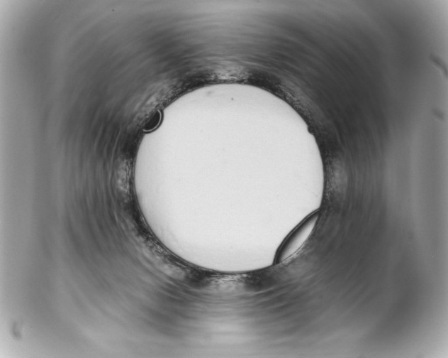 X0000102260078200808151850