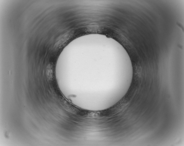 X0000102260080200808151850