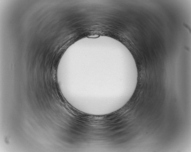 X0000102260081200808151850