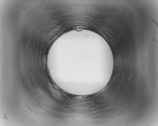 X0000102260082200808151850