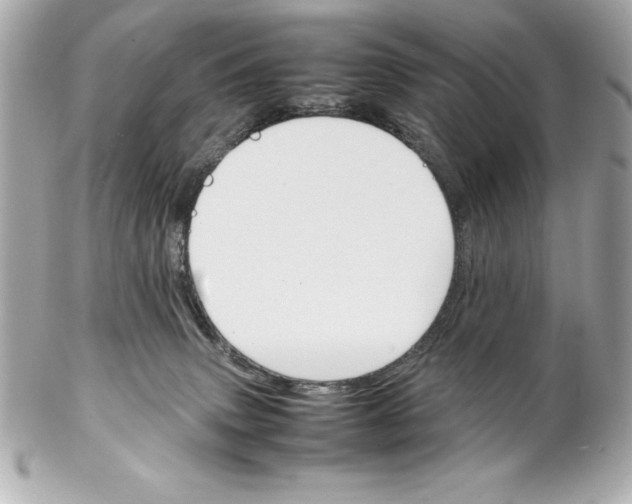 X0000102260083200808151850