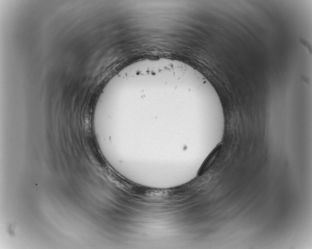 X0000102260084200808151850