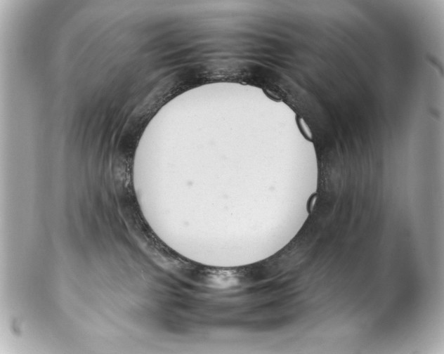 X0000102260091200808151851