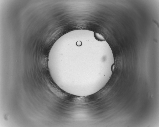 X0000102260092200808151851