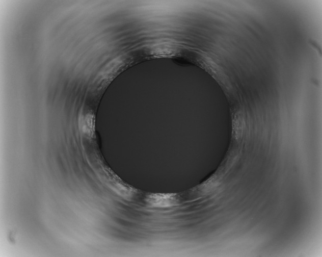 X0000102260093200808151851
