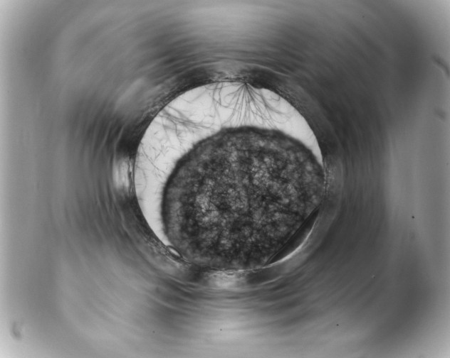 X0000102260094200808151851