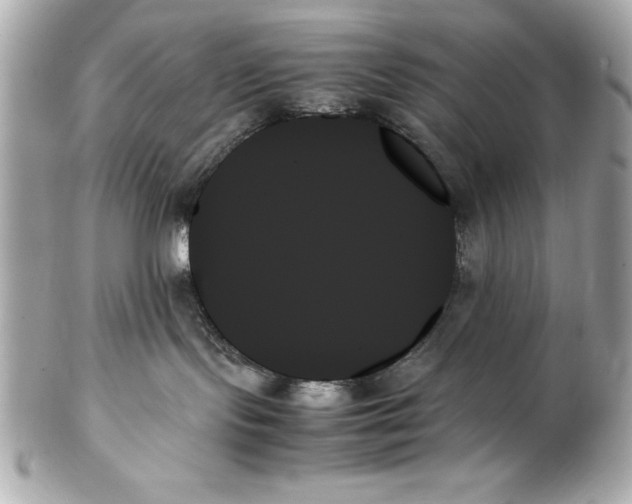 X0000102260095200808151851