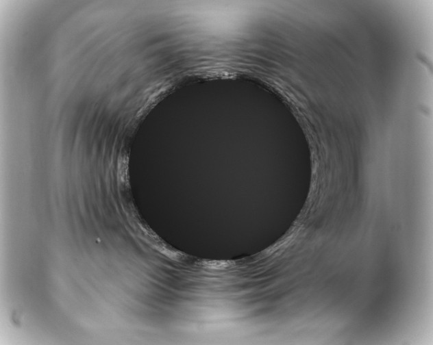 X0000102260096200808151851