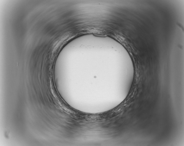 X0000102260097200808151850