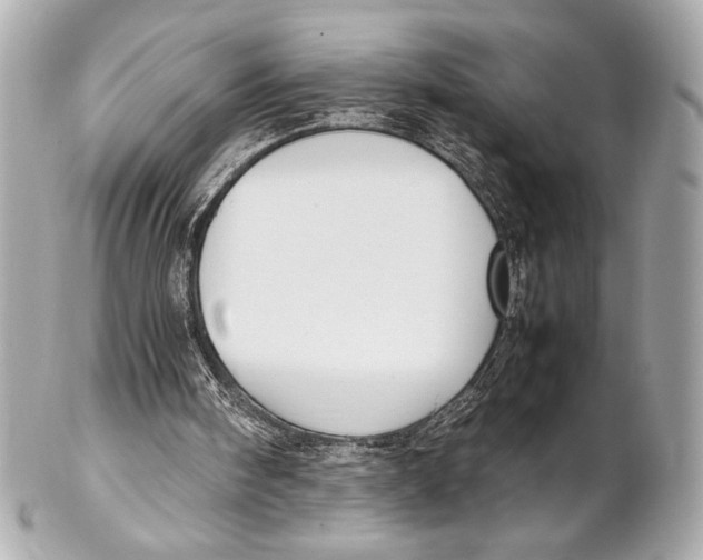 X0000102260098200808151850
