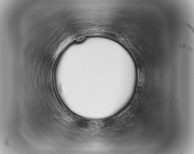 X0000102260099200808151850