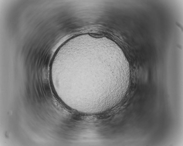 X0000102260100200808151850