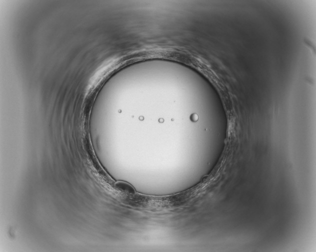 X0000102260101200808151850