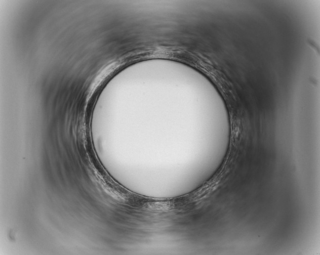 X0000102260102200808151850