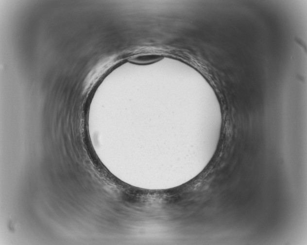 X0000102260103200808151850